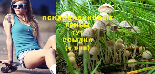 ПСИЛОЦИБИНОВЫЕ ГРИБЫ Лабытнанги