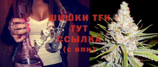 ПСИЛОЦИБИНОВЫЕ ГРИБЫ Лабытнанги