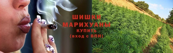 ПСИЛОЦИБИНОВЫЕ ГРИБЫ Лабытнанги