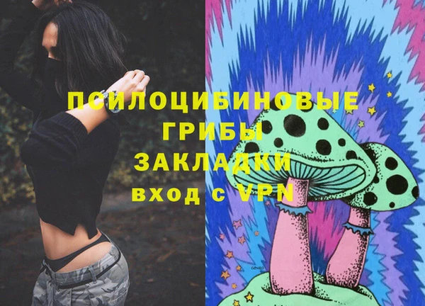 твердый Ладушкин