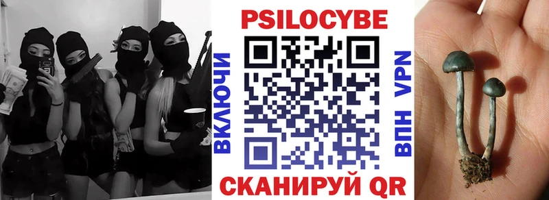 Псилоцибиновые грибы мухоморы  Мглин 